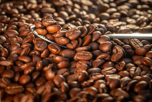 What Makes Shade Grown Coffee Different from Other Coffees?